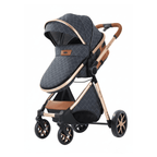 Poussette bébé évolutive haut de gamme avec canopy matelassé gris, cadre en aluminium doré et grand panier de rangement sur fond blanc.